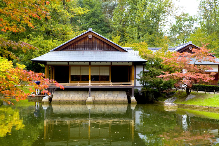 De Japanse tuin biedt rust en groen in een unieke omgeving